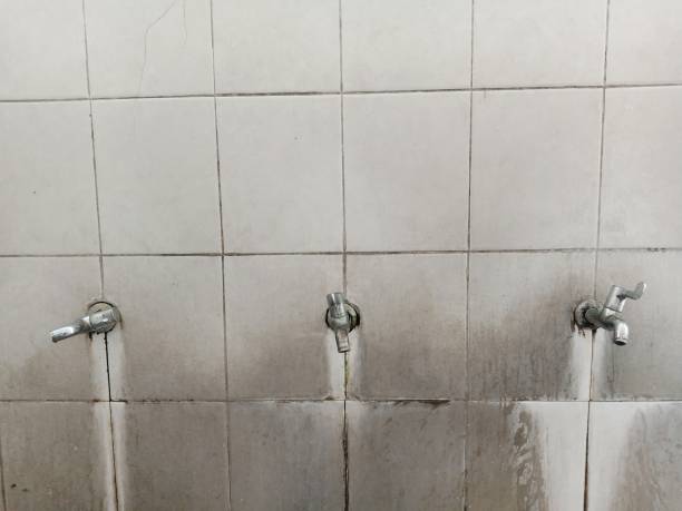 Best Mold removal after water damage  in Port Angeles, WA