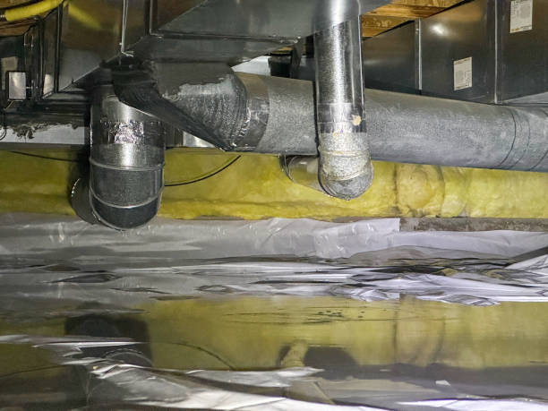 Carpet water damage restoration in WA
