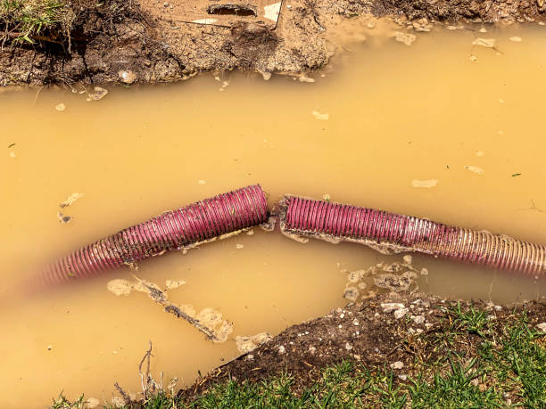  Port Angeles, WA Water damage restoration Pros
