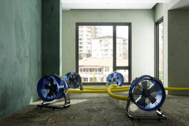 Best Commercial water damage restoration  in Port Angeles, WA